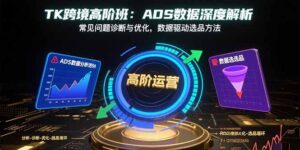 (15809期)TK跨境高阶班:ADS数据深度解析,常见问题诊断与优化,数据驱动选品方法-中创网_分享创业项目_助您在家赚钱