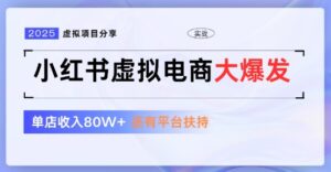 小红书虚拟店铺  蓝海项目  小白轻松一天3张+-中创网_分享创业项目_助您在家赚钱
