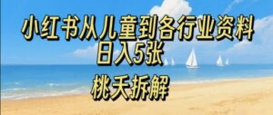 小红书从儿童到各行业学习资料,日入5张-中创网_分享创业项目_助您在家赚钱