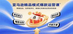 亚马逊精品模式爆款运营课:数据选品、品质差异化,精细化关键词运营体系搭建-中创网_分享创业项目_助您在家赚钱