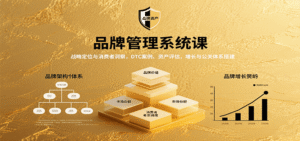 品牌管理系统课：战略定位与消费者洞察，DTC案例、资产评估，增长与公关体系搭建-中创网_分享创业项目_助您在家赚钱