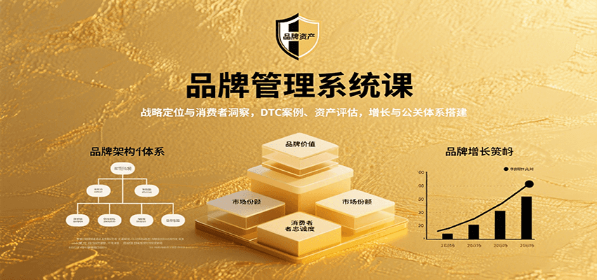 图片[1]-品牌管理系统课：战略定位与消费者洞察，DTC案例、资产评估，增长与公关体系搭建
