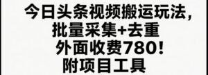 今日头条视频搬运玩法,软件一键去重,轻松日入500+附项目工具-中创网_分享创业项目_助您在家赚钱