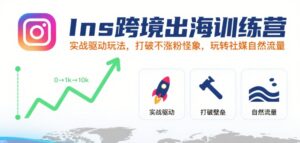 Ins跨境出海训练营，实战驱动玩法，打破不涨粉怪象，玩转社媒自然流量-中创网_分享创业项目_助您在家赚钱