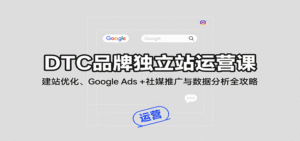DTC品牌独立站运营课:建站优化、Google Ads + 社媒推广与数据分析全攻略-中创网_分享创业项目_助您在家赚钱