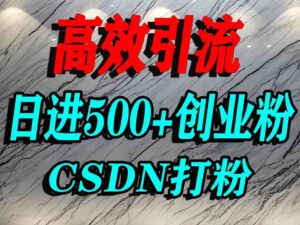 怎么打创业粉?CSDN又一个你不知道的打粉引流神秘平台,单人日引500+精准流量-中创网_分享创业项目_助您在家赚钱