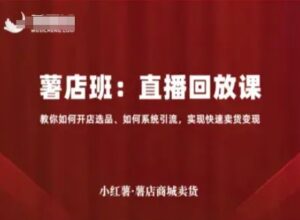小红薯薯店商城卖货直播回放课,教你如何开店选品、如何系统引流,实现快速卖货变现-中创网_分享创业项目_助您在家赚钱