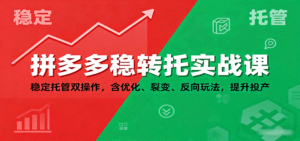拼多多稳转托实战课:稳定托管双操作,含优化、裂变、反向玩法,提升投产-中创网_分享创业项目_助您在家赚钱