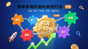 (15916期)拼多多高阶盈利系统打法-9月:选品+推广+活动+诊断+最新风口,月利润3-10w-中创网_分享创业项目_助您在家赚钱