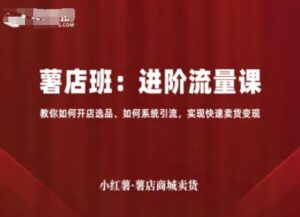 小红薯薯店商城卖货,进阶流量课,教你如何开店选品、如何系统引流,实现快速卖货变现-中创网_分享创业项目_助您在家赚钱