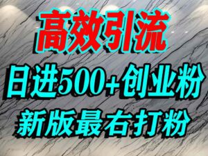 最右打创业粉,百分之九十九同行都不知道的空白蓝海,单人日引500+精准流量-中创网_分享创业项目_助您在家赚钱