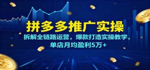 拼多多推广实操,拆解全链路运营,爆款打造实操教学,单店月均盈利5万+-中创网_分享创业项目_助您在家赚钱