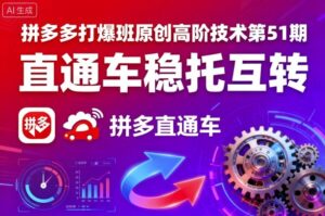 拼多多打爆班原创高阶技术第51期,直通车稳托互转-中创网_分享创业项目_助您在家赚钱