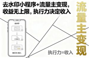 去水印小程序+流量主变现，收益无上限，执行力决定收入-中创网_分享创业项目_助您在家赚钱