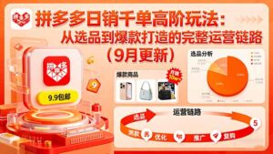 （16100期）拼多多日销千单高阶玩法：从选品到爆款打造的完整运营链路（9月更新）-中创网_分享创业项目_助您在家赚钱