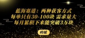 蓝海赛道：两种获客方式每单只有30-100米 需求量大每月累积下来能突破3W-中创网_分享创业项目_助您在家赚钱