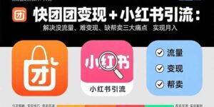(15877期)快团团变现+小红书引流:解决没流量、难变现、缺帮卖三大痛点 实现月入3w+-中创网_分享创业项目_助您在家赚钱
