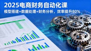 (16021期)2025电商财务自动化课,模型搭建+数据处理+财务分析,效率提升80%-中创网_分享创业项目_助您在家赚钱
