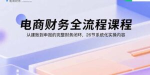 （15893期）电商财务全流程课程：从建账到申报的完整财务闭环，26节系统化实操内容-中创网_分享创业项目_助您在家赚钱