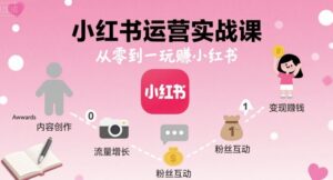 小红书运营实战课,从零到一玩賺小红书-中创网_分享创业项目_助您在家赚钱