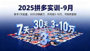 (16008期)2025拼多多实训-9月:新手7天起量,30天日销破万,月利润3-10万,可矩阵复制-中创网_分享创业项目_助您在家赚钱