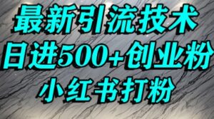 小红书精准引流创业粉,前辈求带孩子走投无路了,单人操作日引500+精准创业粉-中创网_分享创业项目_助您在家赚钱