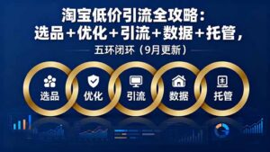 (16009期)淘宝低价引流全攻略:选品+优化+引流+数据+托管,五环闭环(9月更新)-中创网_分享创业项目_助您在家赚钱