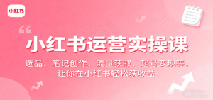 小红书运营实操课:选品、笔记创作、流量获取、起号变现等,让你在小红书轻松获收益-中创网_分享创业项目_助您在家赚钱