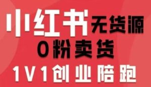 小红书无货源0粉电商课,开店准备、选品策略、笔记撰写、视频剪辑、数据分析、账号打造、资料文档-中创网_分享创业项目_助您在家赚钱