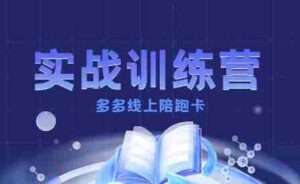多多实战训练营,从0到1打造一个真正賺钱的店铺-中创网_分享创业项目_助您在家赚钱