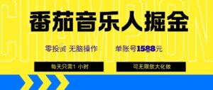 番茄音乐人掘金，单账号最高可撸1k+，可无限矩阵去做，零投入-中创网_分享创业项目_助您在家赚钱