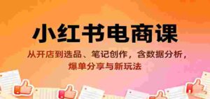 小红书电商课:从开店到选品、笔记创作,含数据分析,爆单分享与新玩法-中创网_分享创业项目_助您在家赚钱
