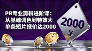 （16381期）PR专业剪辑进阶课：从基础调色到特效大片的进阶技能，单条短片报价达2000-中创网_分享创业项目_助您在家赚钱