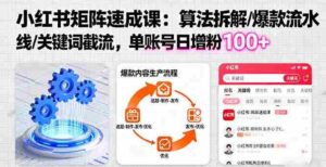 (16231期)小红书矩阵起号速成课:算法拆解/爆款流水线/关键词截流 单账号日增粉100+-中创网_分享创业项目_助您在家赚钱