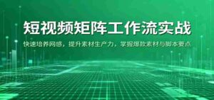 短视频矩阵工作流实战:快速培养网感,提升素材生产力,掌握爆款素材与脚本要点-中创网_分享创业项目_助您在家赚钱