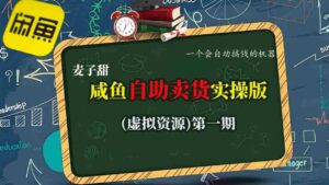 麦子甜咸鱼自助卖货实操版(虚拟资源)一个会自动搞钱的机器-中创网_分享创业项目_助您在家赚钱