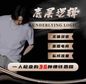 一个人起盘的底层逻辑,私域流量-直播电商-实体获客,一人起盘的36种賺钱思路-中创网_分享创业项目_助您在家赚钱