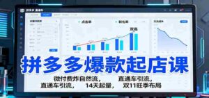 拼多多爆款起店课:微付费炸自然流,直通车引流,14天起量,双11旺季布局-中创网_分享创业项目_助您在家赚钱