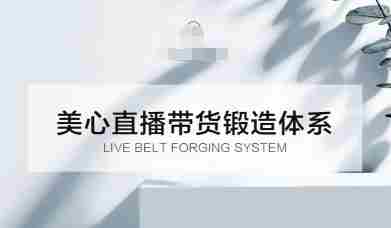 直播带货锻造体系课，5G时代美心一站式帮你开启直播带货之路【音频】-中创网_分享创业项目_助您在家赚钱