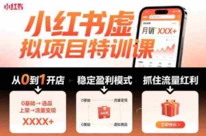 小红书虚拟项目特训课,帮你从0到1打造稳定盈利的店铺,抓住流量红利(更新9月)-中创网_分享创业项目_助您在家赚钱