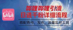 （16210期）哔哩哔哩引流一个视频裂变100个矩阵玩法-中创网_分享创业项目_助您在家赚钱