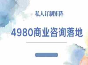 4980商业咨询师落地课程-ip运营高客单教程-中创网_分享创业项目_助您在家赚钱