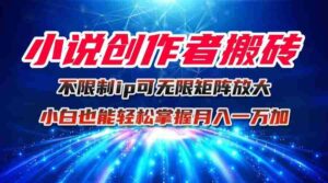（16209期）小说创作者搬砖玩法，不限制IP简单无脑 可矩阵无限放大小白也能实现轻…-中创网_分享创业项目_助您在家赚钱