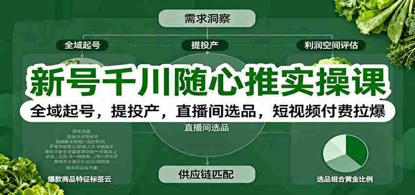 新号千川随心推实操课：全域起号，提投产，直播间选品，短视频付费拉爆-中创网_分享创业项目_助您在家赚钱