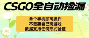 (16207期)自动挂机捡漏,不用自己挂机不用玩游戏,一个手机即可操作。新手小白轻…-中创网_分享创业项目_助您在家赚钱