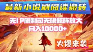 （16237期）小说阅读搬砖单机每天收益200-400+ 无IP限制可无限矩阵放大 —-中创网_分享创业项目_助您在家赚钱