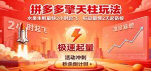 拼多多擎天柱玩法,水果生鲜最快2小时起飞,标品最慢2天起链接-中创网_分享创业项目_助您在家赚钱