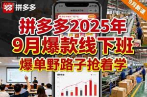 拼多多2025年9月爆款线下班，爆单野路子抢着学-中创网_分享创业项目_助您在家赚钱