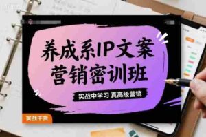 养成系IP文案营销密训班,实战中学习真高级营销-中创网_分享创业项目_助您在家赚钱