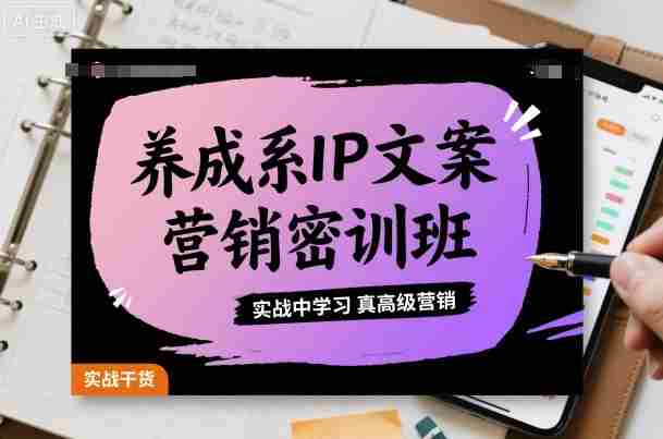 养成系IP文案营销密训班，实战中学习真高级营销-中创网_分享创业项目_助您在家赚钱